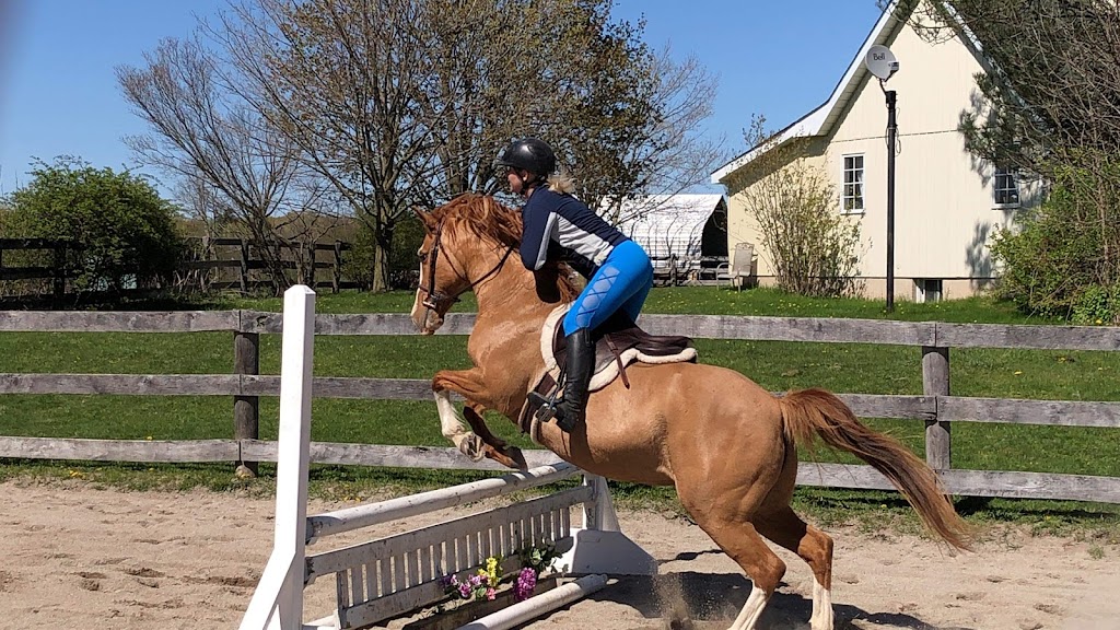 Bridlewood Equestrian | 8735 Milburough Town Line, Milton, ON L0P 1B0, Canada | Phone: (905) 407-0827