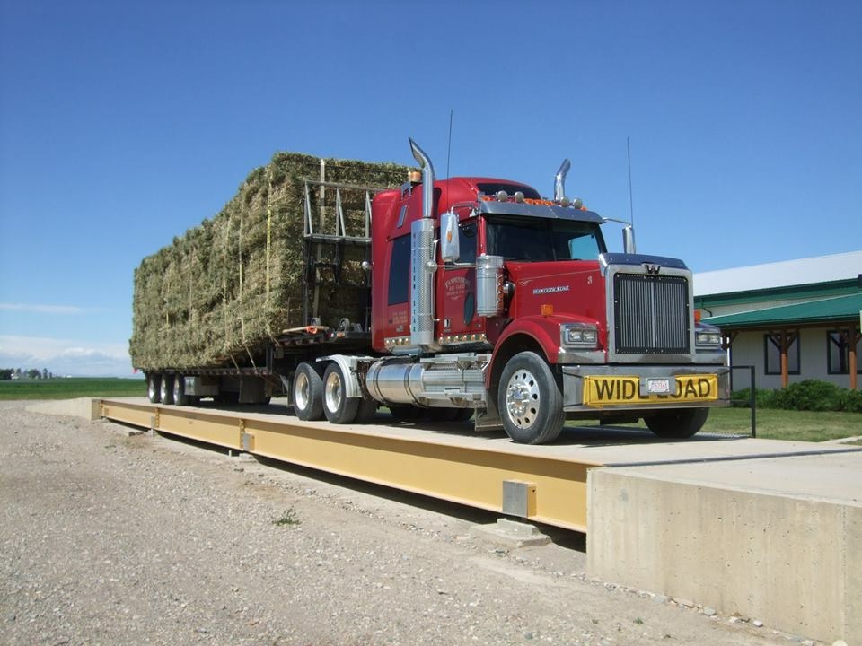Vandenberg Hay Farms | AB-519, Nobleford, AB T0L 1S0, Canada | Phone: (403) 824-3010