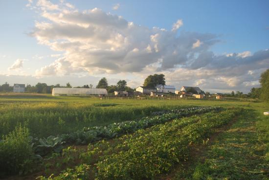 Cochrane Family Farm | 5324 NS-289, Upper Stewiacke, NS B0N 2P0, Canada | Phone: (902) 671-2378
