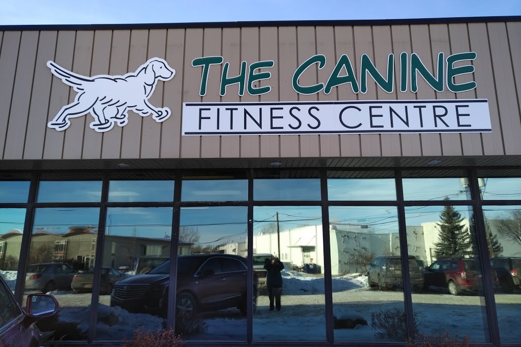 Canine Fitness Centre | 4515 Manhattan Rd SE, Calgary, AB T2G 4B3, Canada | Phone: (403) 204-0823