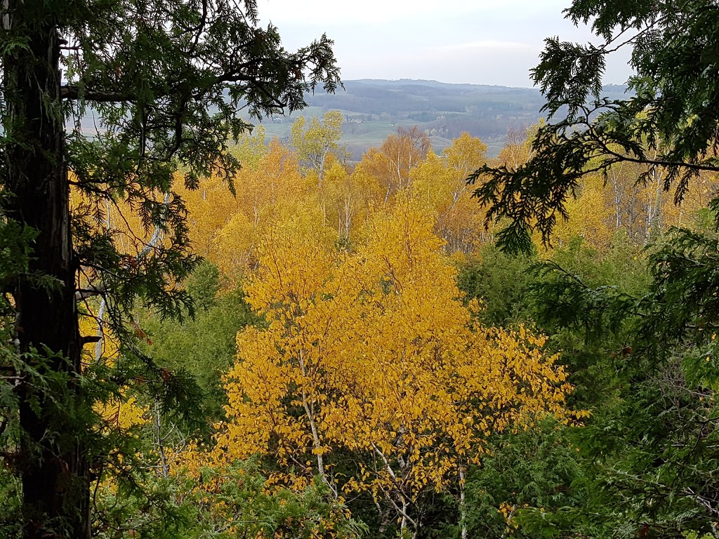Noisy River Provincial Park | Creemore, ON L0M 1G0, Canada | Phone: (705) 429-2516
