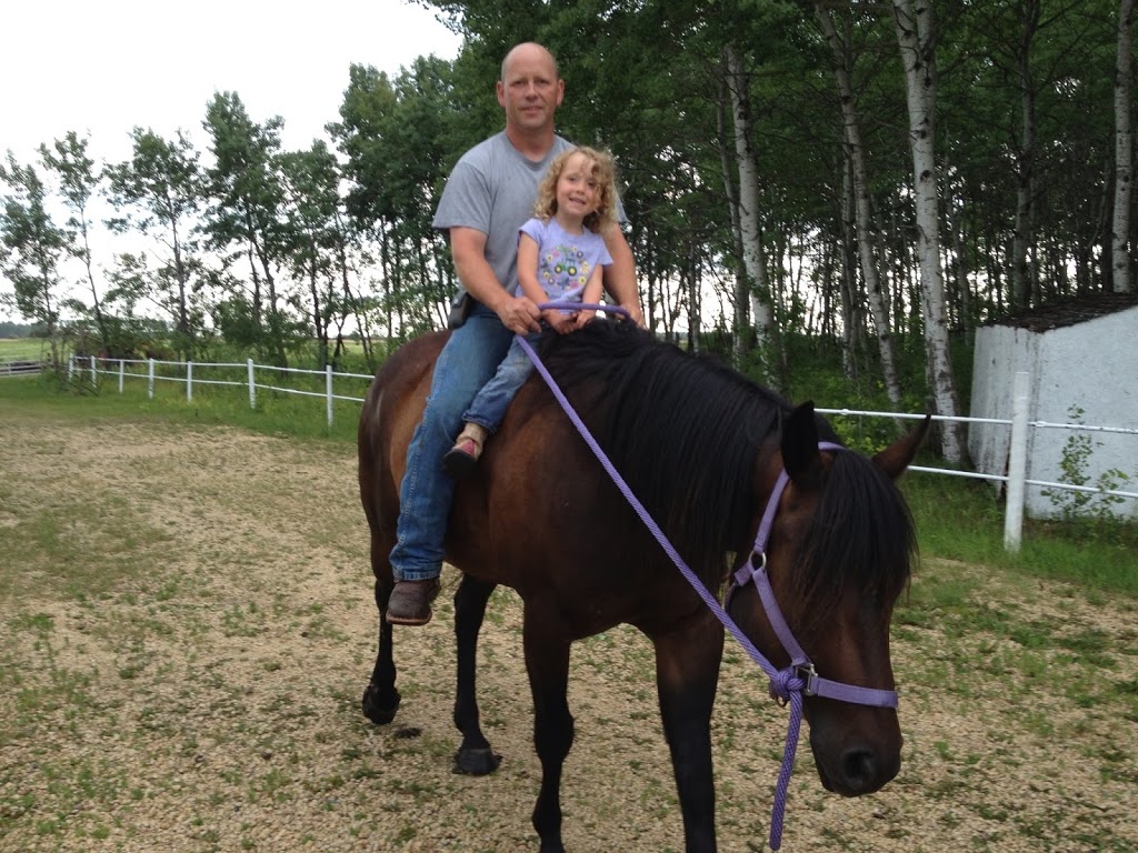 Helstrom Performance Horses | 960 Komarno Rd, Winnipeg Beach, MB R0C 3G0, Canada | Phone: (204) 389-3401