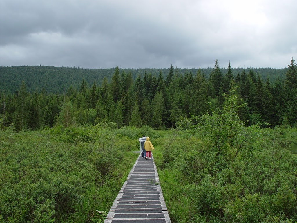 Rolley Lake Provincial Park | Bell St, Mission, BC V4S 1C6, Canada | Phone: (604) 466-8325