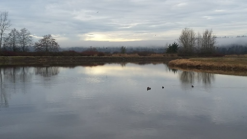 Serpentine Fen | King George Blvd, Surrey, BC V3S 0L2, Canada | Phone: (604) 591-4011