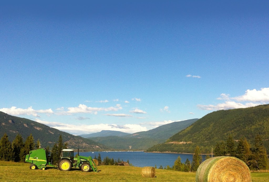 Bastion Ranch | 6494 Sunnybrae-Canoe Point Rd, Tappen, BC V0E 2X1, Canada | Phone: (250) 835-4314