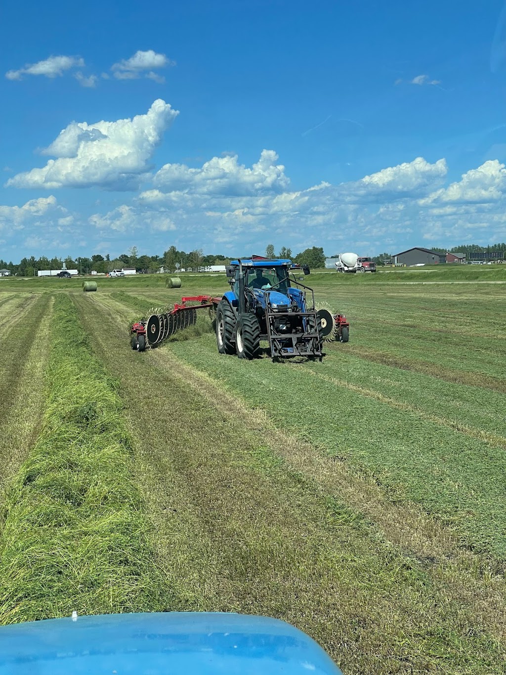 Laingspring Farm Ltd. | 35074 Road 38 N, Blumenort, MB R0A 0C1, Canada | Phone: (204) 346-3286