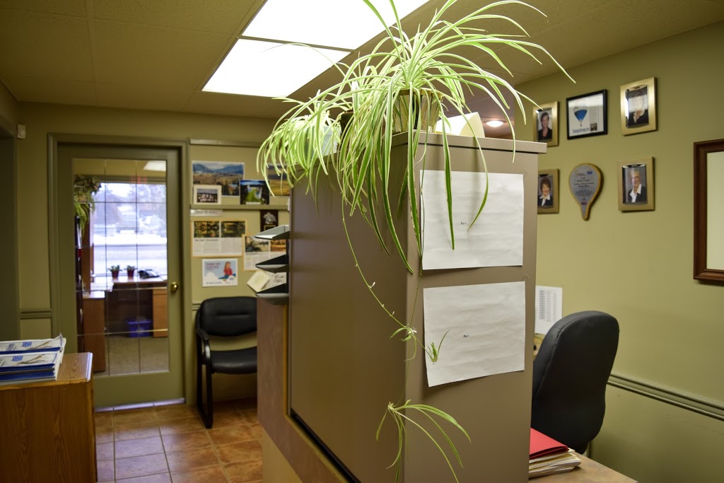 RE/MAX North Valley (Enderby) | 908 George St, Enderby, BC V0E 1V0, Canada | Phone: (250) 838-0025