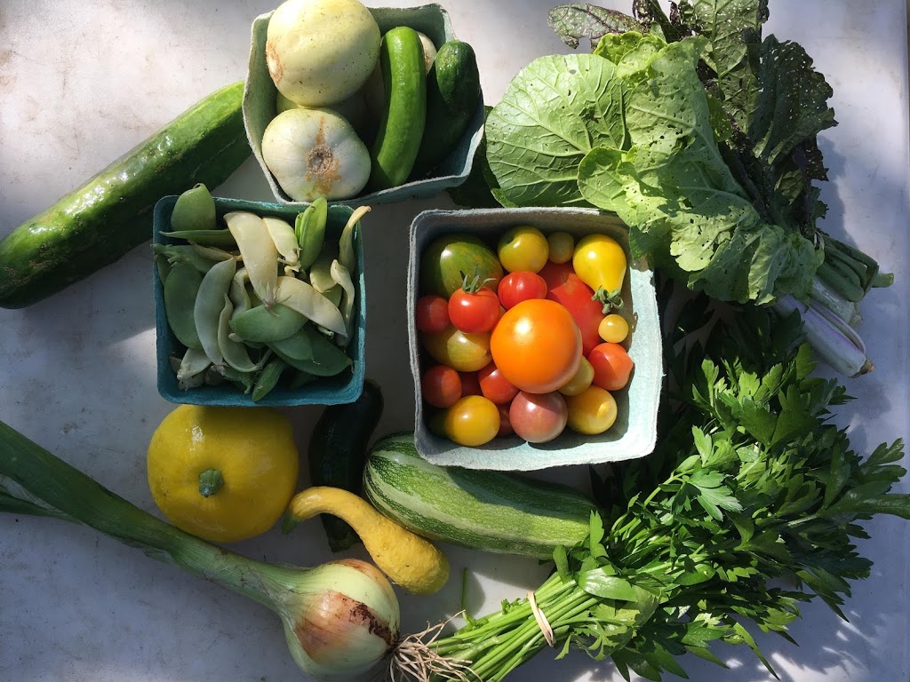 Branching Path Farm | 9 Culver Ln, Simcoe, ON N3Y 2S2, Canada | Phone: (647) 772-7702
