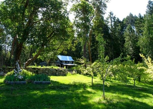 Blue Horse Folk Art Gallery | 175 N View Pl, Salt Spring Island, BC V8K 1A9, Canada | Phone: (250) 537-0754