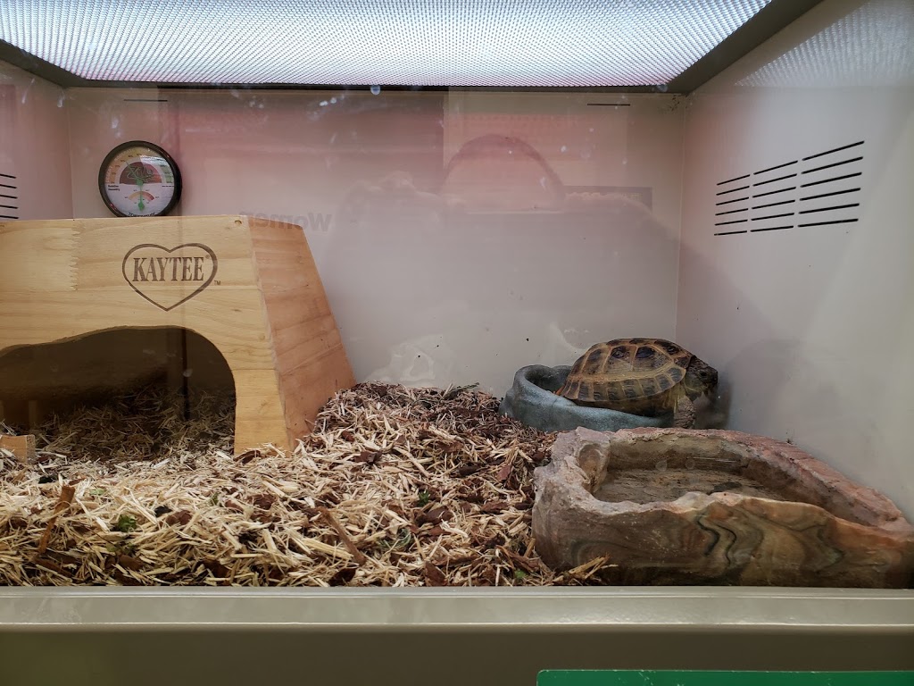 Pet Supplies Plus | 9630 Transit Rd #400, East Amherst, NY 14051, USA | Phone: (716) 689-9190