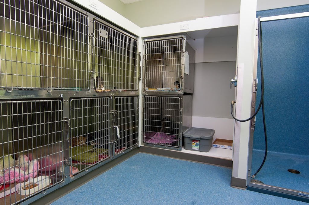 Hôpital Vétérinaire Passionimo Grande Allée | 2707 Chemin Gascon, Mascouche, QC J7L 3X8, Canada | Phone: (450) 968-2141