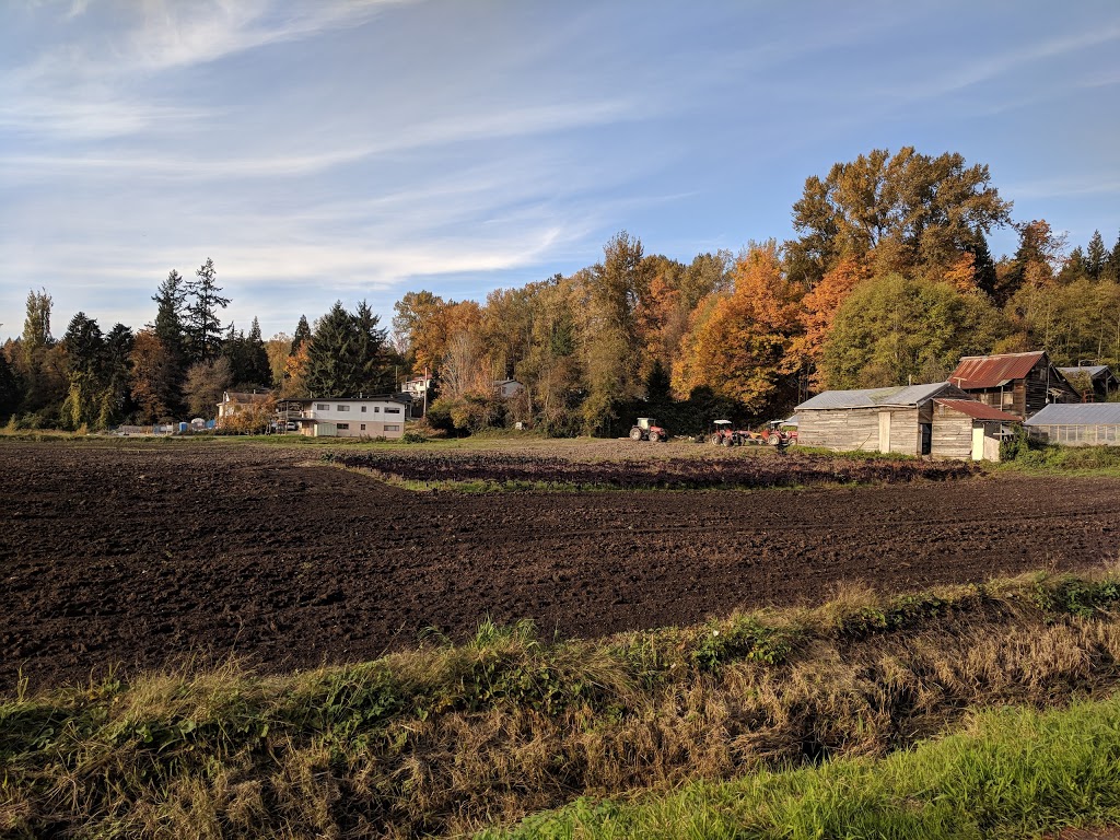 Willard Park | 6280 12th Ave, Burnaby, BC V3N 2Y4, Canada | Phone: (604) 294-7450