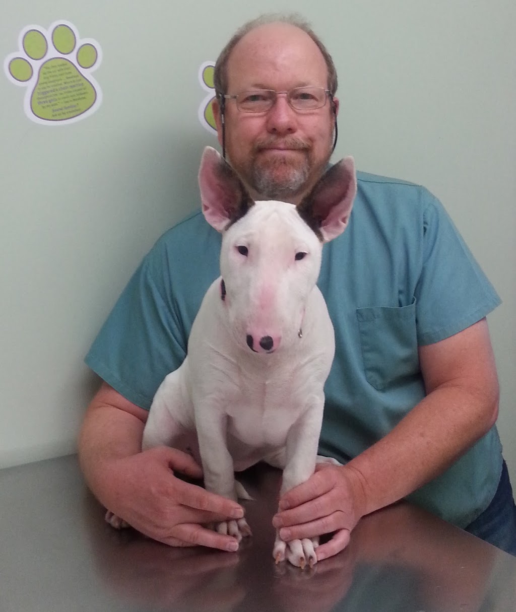 Highland Creek Animal Clinic | 6105 Kingston Rd, Scarborough, ON M1C 1K5, Canada | Phone: (416) 282-9697
