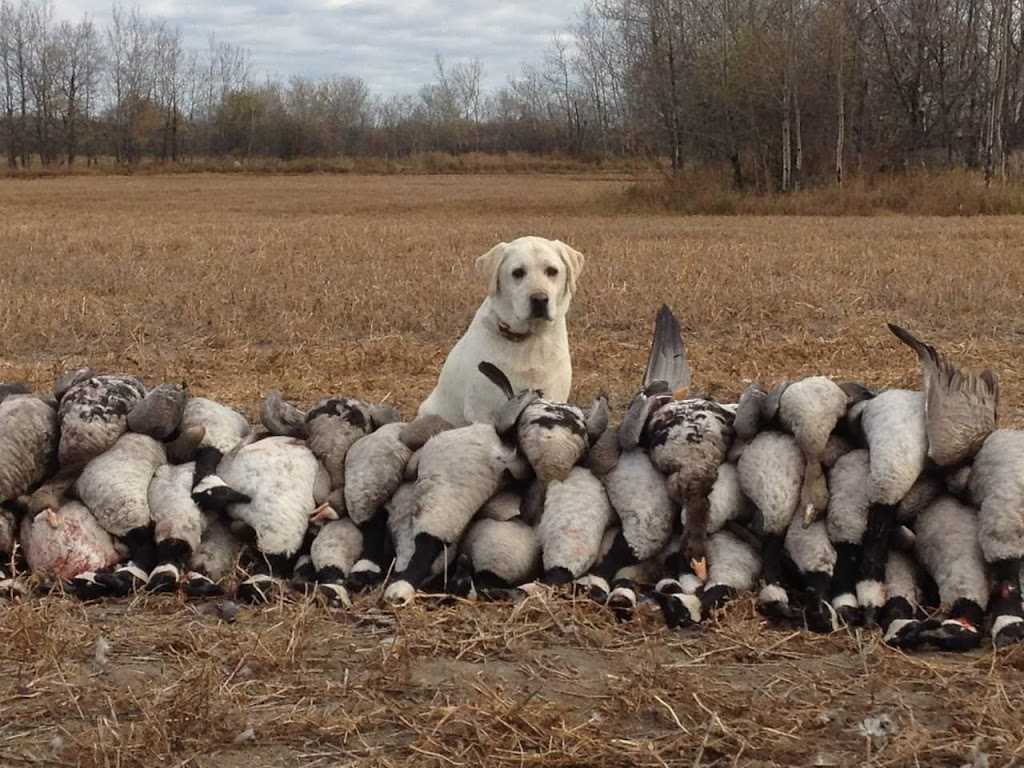 Larson Lake Outfitters | Second Lodge, Spiritwood, SK S0J 2M0, Canada | Phone: (306) 753-9597