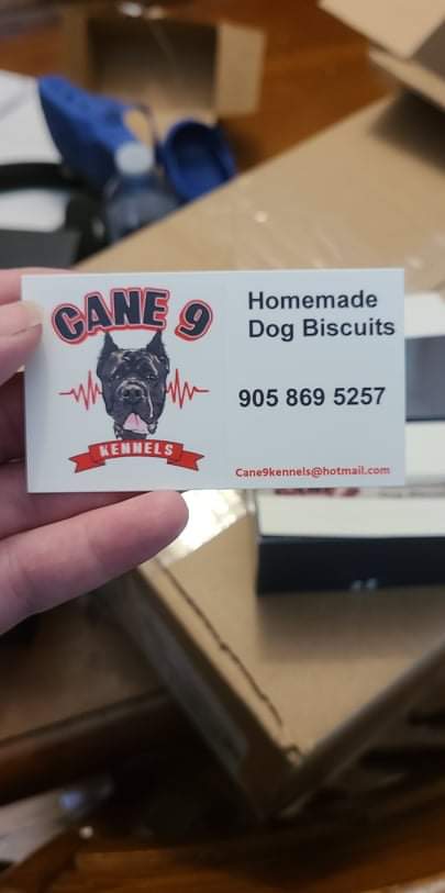 Cane9kennels | Rainham Rd, Haldimand, ON N0A 1P0, Canada | Phone: (905) 869-5257