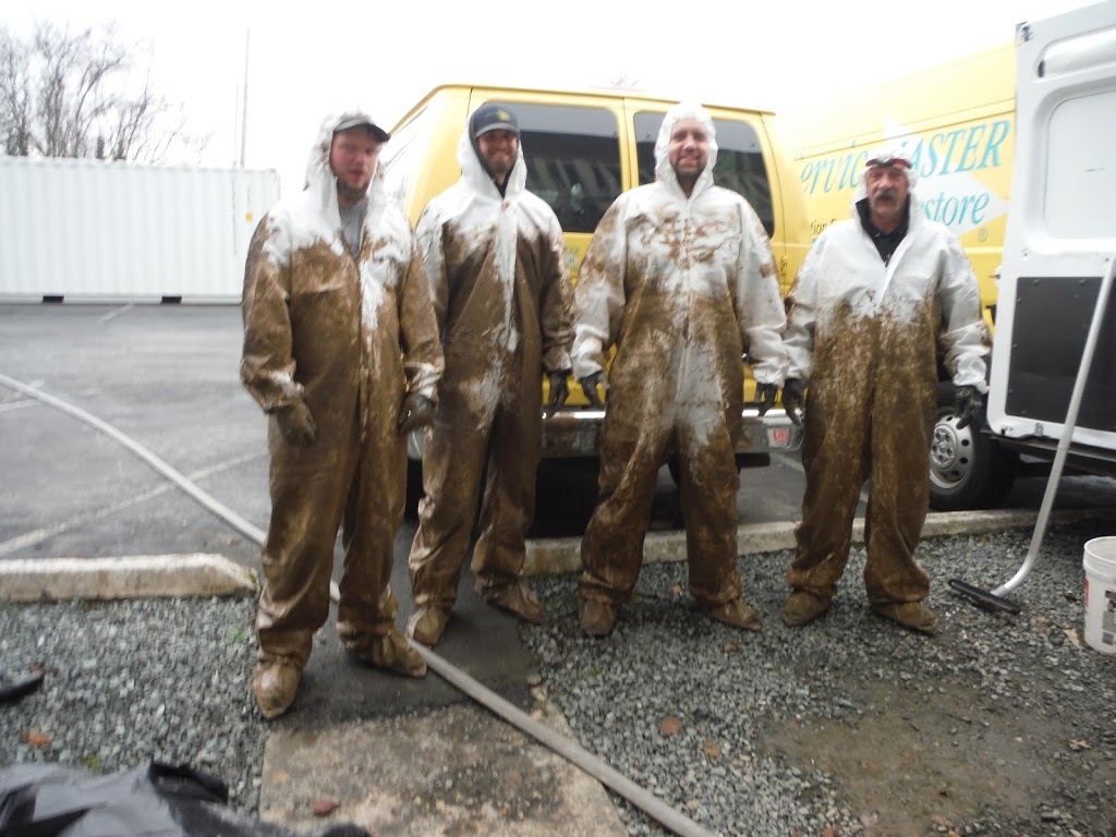 ServiceMaster Cleaning by Roth | 3900 Spur Ridge Lane, Bellingham, WA 98226, USA | Phone: (360) 733-7788