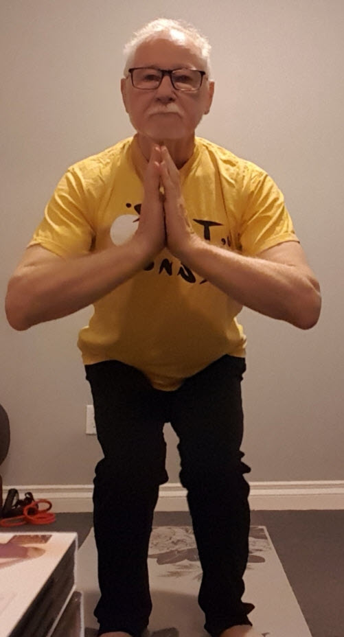 Yoga with Florin | 3 Bruce St, St. Catharines, ON L2R 5S7, Canada | Phone: (905) 328-3523