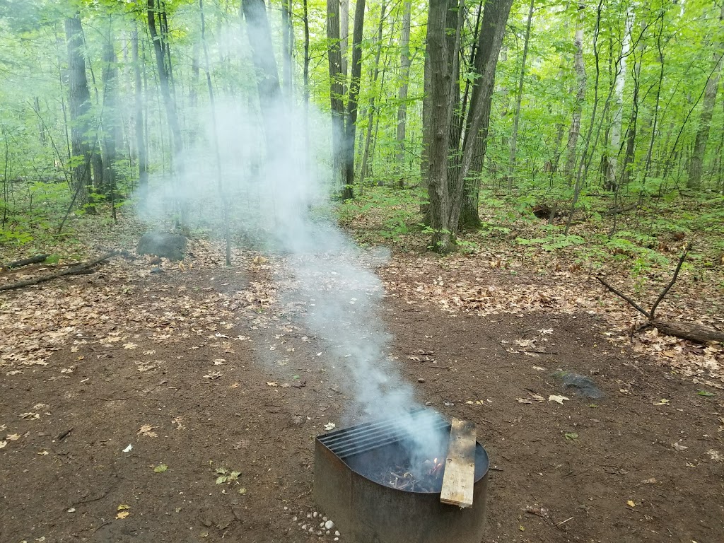 Snake Campground | Tiny, ON L9M 1R2, Canada | Phone: (705) 549-2231