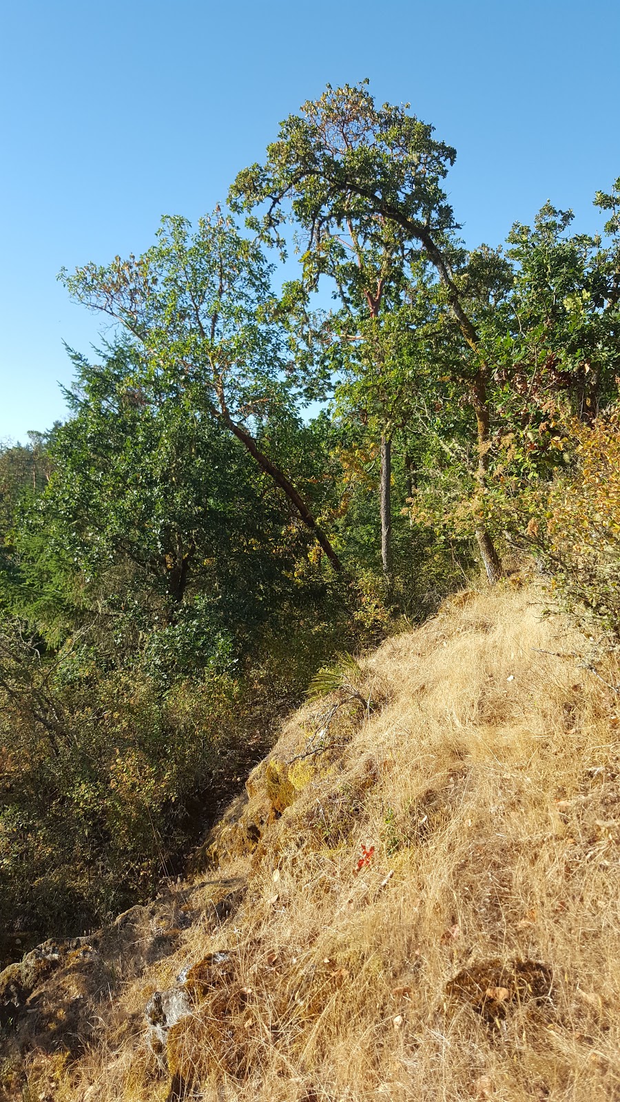 South Prospect Lake Park | 4675 Prospect Lake Rd, Victoria, BC V9E 1J5, Canada