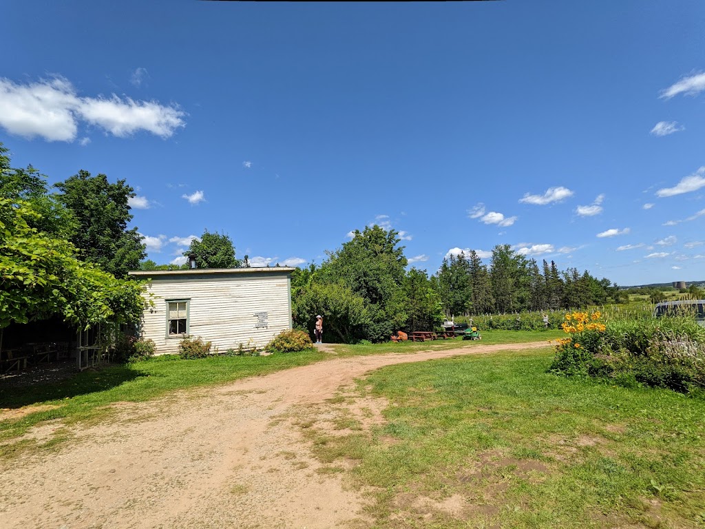 Harpers Rasberry U-Pick | 2937 Main St, Hillsborough, NB E4H 2X9, Canada | Phone: (506) 734-2360