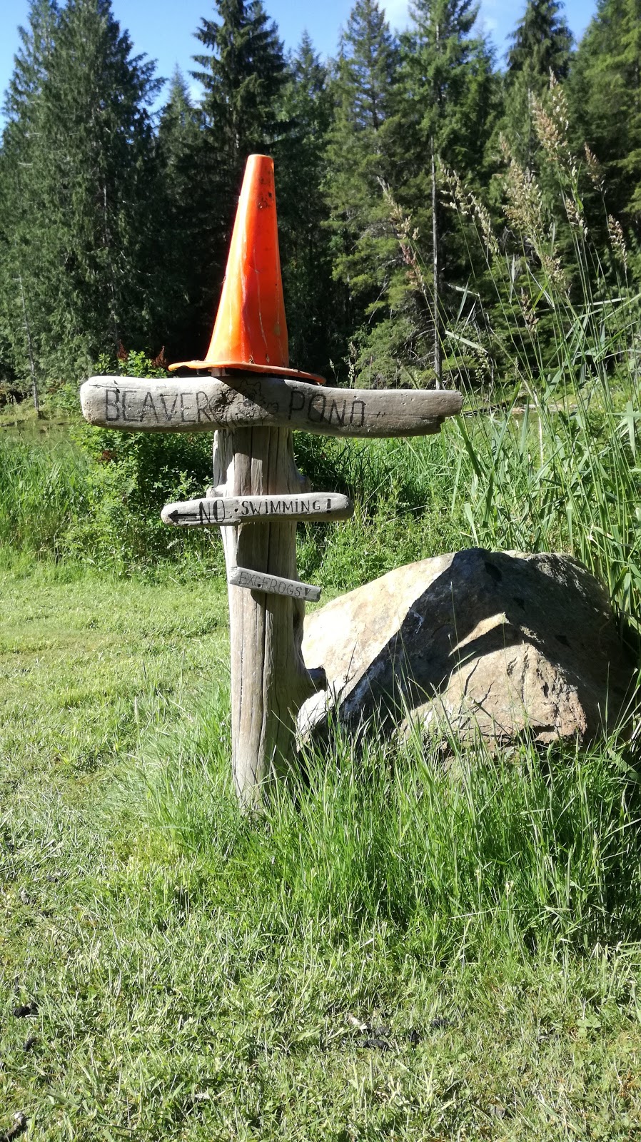 Beaver Hut Bed And Breakfast | 8188 Sheila Way, Port Alberni, BC V9Y 9E4, Canada | Phone: (250) 723-8941