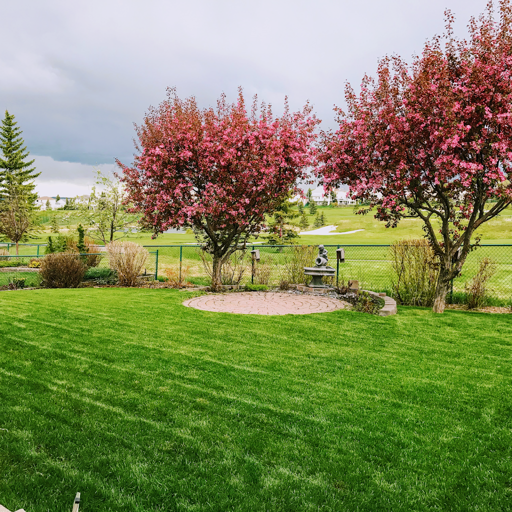 Simple Yard | 225 Railway St E, Cochrane, AB T4C 2C3, Canada | Phone: (587) 601-1220