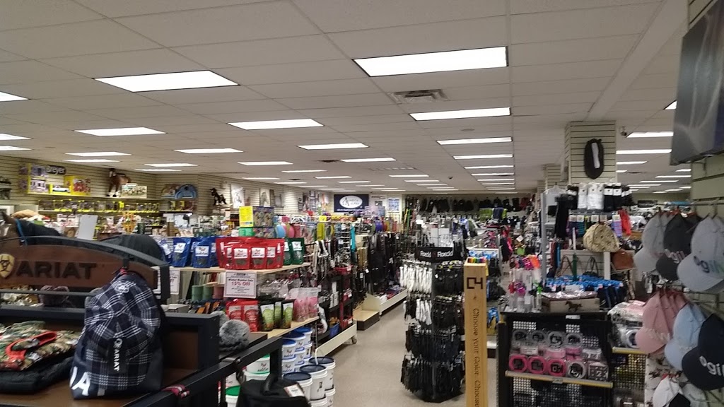 Bahr Saddlery Ltd | 13329 Steeles Ave, Hornby, ON L0P 1E0, Canada | Phone: (905) 878-8885