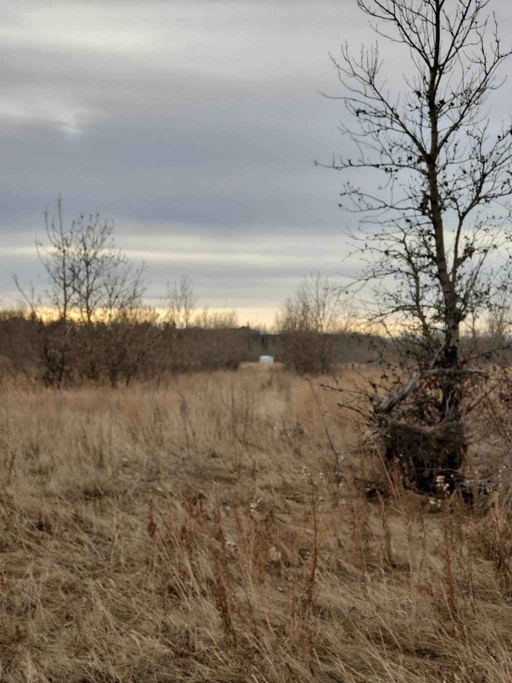 Old Refinery Park | 4687 Barlow Trail SE, Calgary, AB T2B 3T6, Canada | Phone: (403) 268-2489