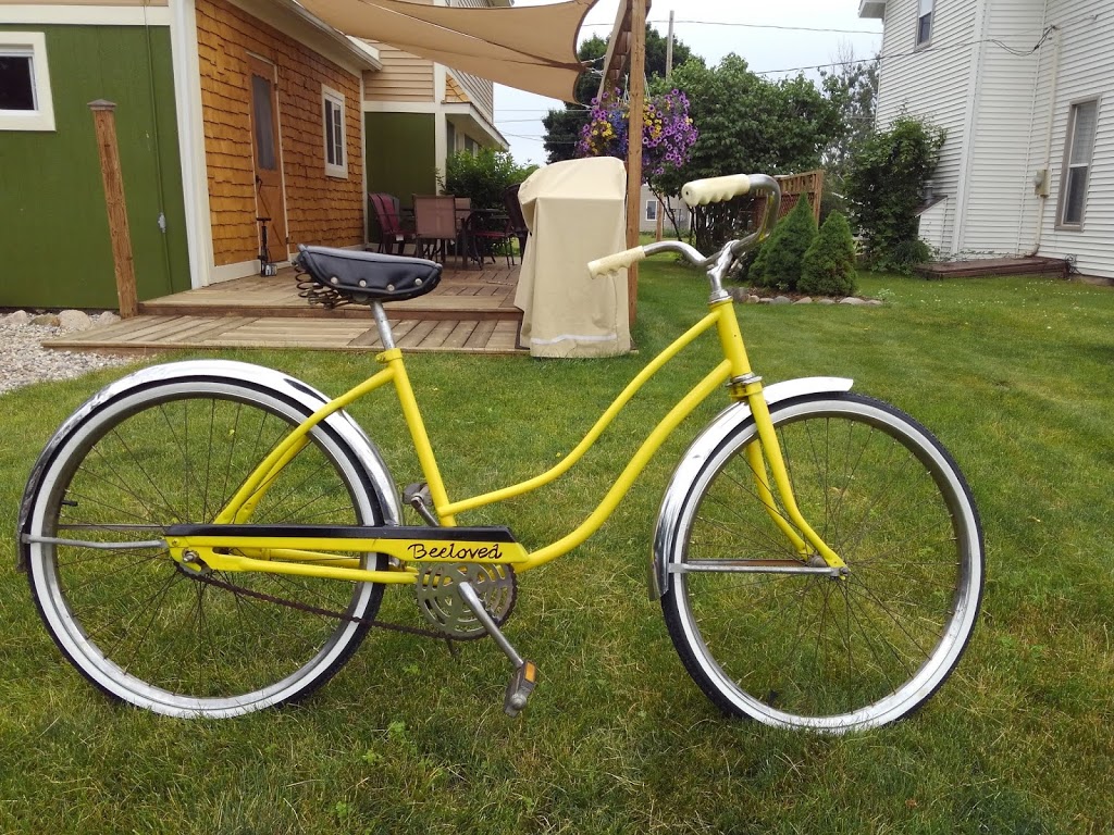 Niagara Cycle | 2749 Military Rd, Niagara Falls, NY 14304, USA | Phone: (716) 205-1125