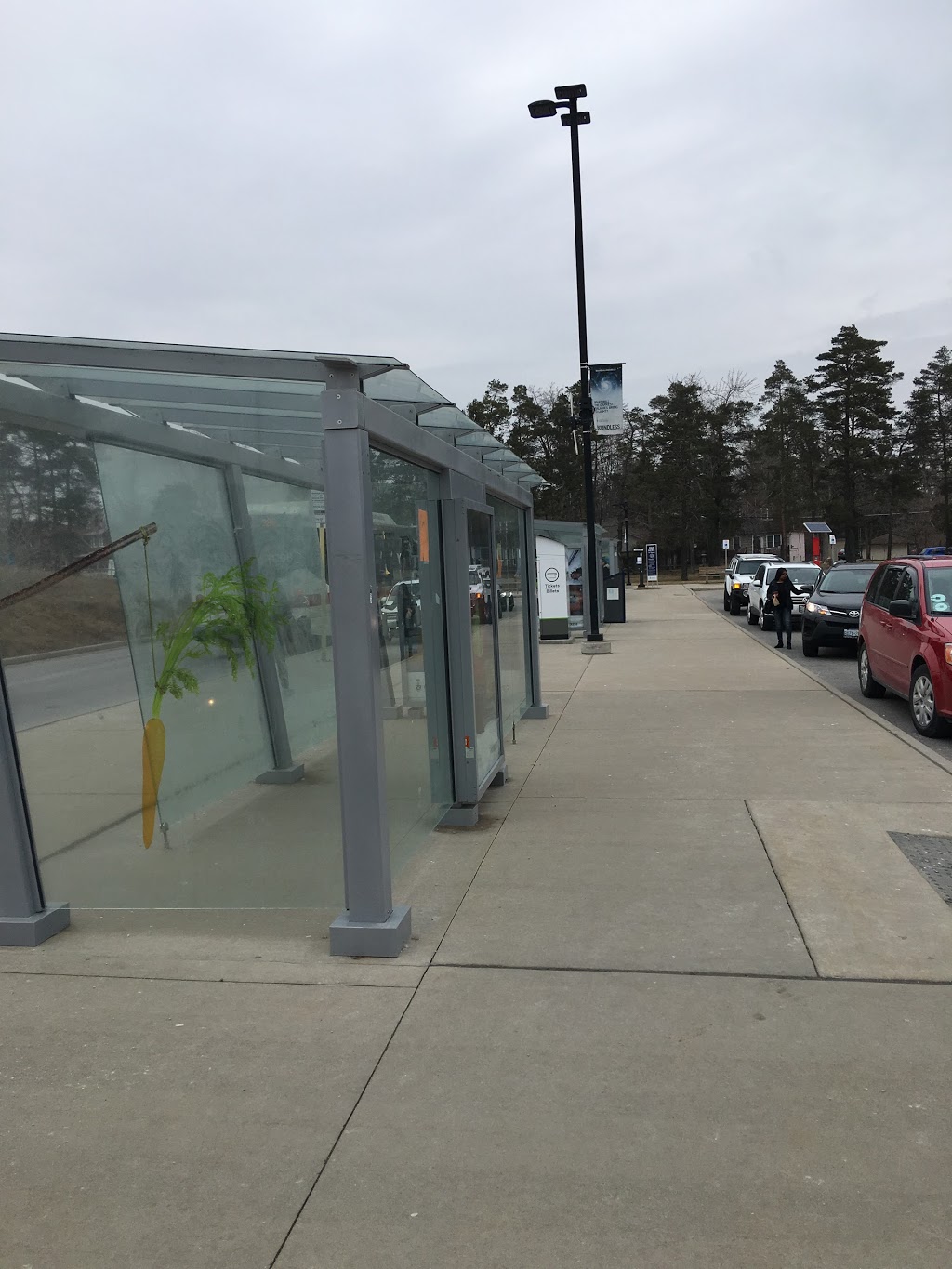 University of Toronto Pickup and Drop off | 1295-1307 Military Trail, Scarborough, ON M1C 1A5, Canada