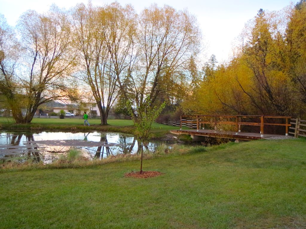Round-Up Motel | 1214 Kelly Lake Rd, Clinton, BC V0K 1K0, Canada | Phone: (250) 459-2226