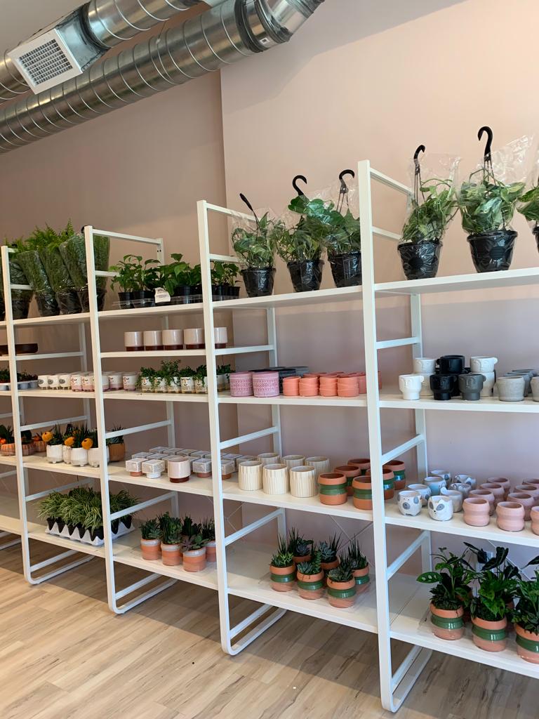 Arterior - Home Decor, Plants, Gifts | 128 Burnhamthorpe Rd E, Oakville, ON L6H 7C8, Canada | Phone: (905) 216-2804