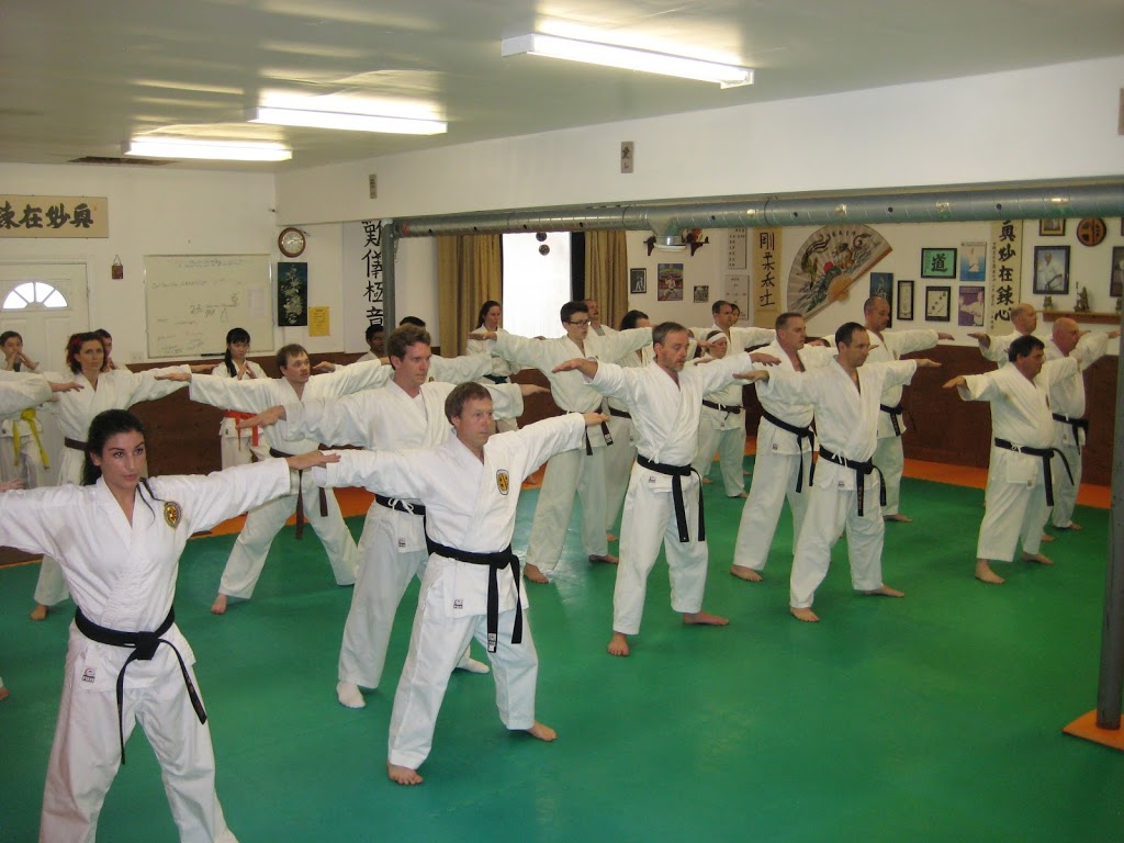 Budokan Karate | 69 Colborne St W, Brantford, ON N3T 1K6, Canada | Phone: (519) 720-9230