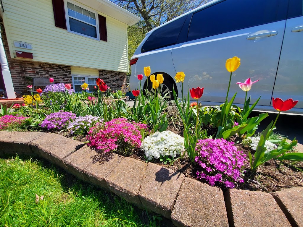 Lawn Mechanic | 161 Beaver Bank Cross Road, Middle Sackville, NS B4E 2E5, Canada | Phone: (902) 818-8348