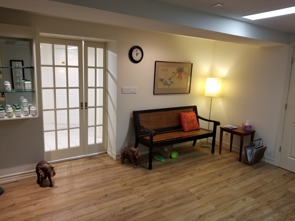 Qi Healing Acupuncture Clinic | 1735 Lakeshore Rd W, Mississauga, ON L5J 1J4, Canada | Phone: (905) 822-9368