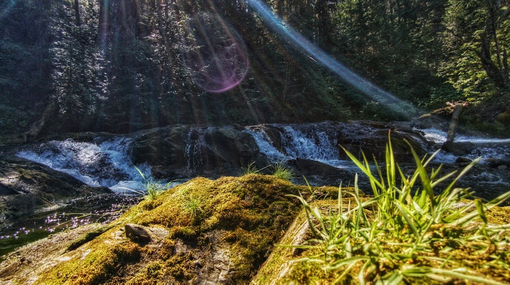 Mount Fernie Provincial Campground | 1M0, Mt Fernie Park Rd, Fernie, BC V0B 1M6, Canada | Phone: (250) 422-3003