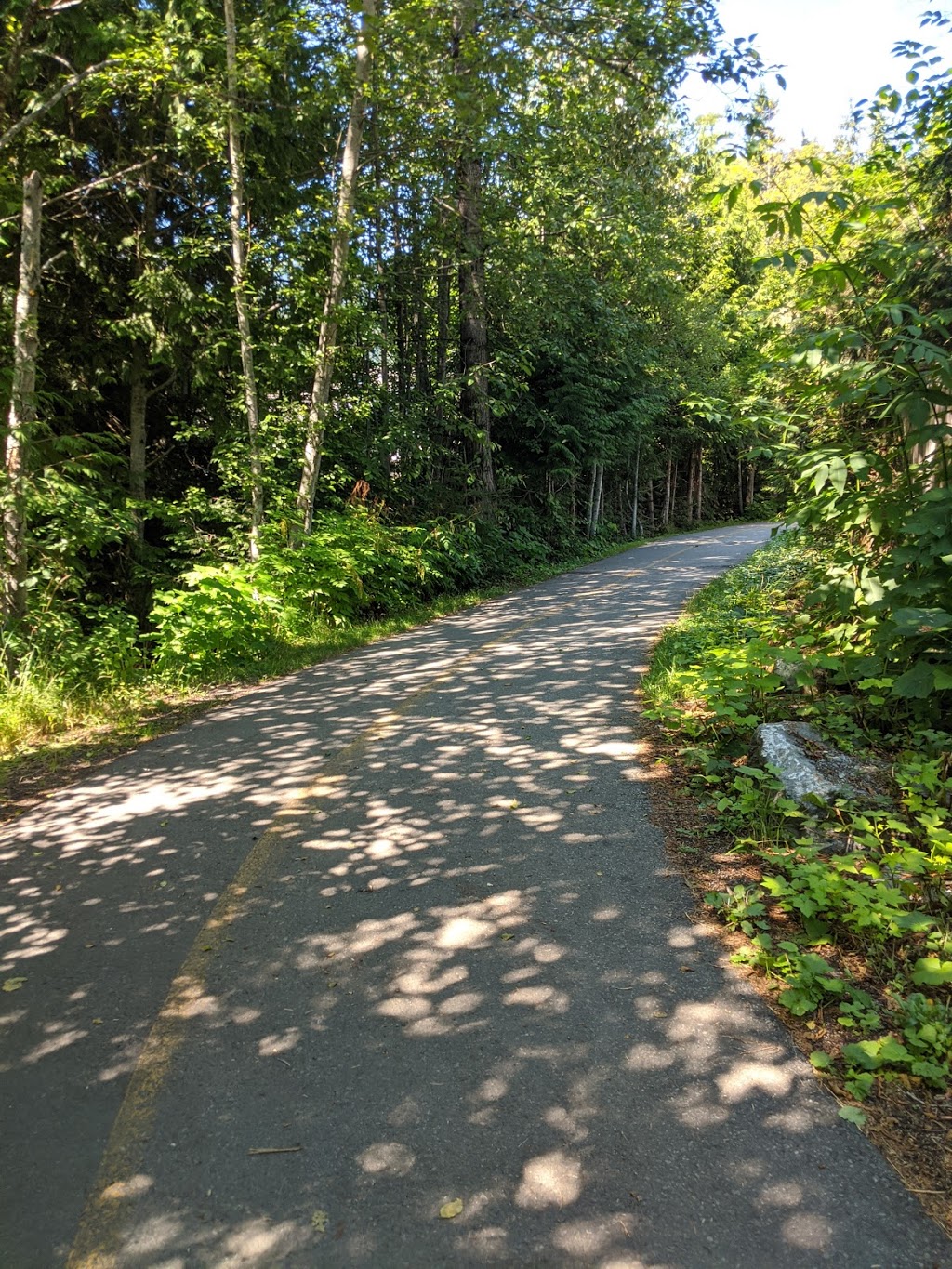 Alpha Lake Park | Whistler, BC V0N 0A0, Canada | Phone: (800) 944-7853