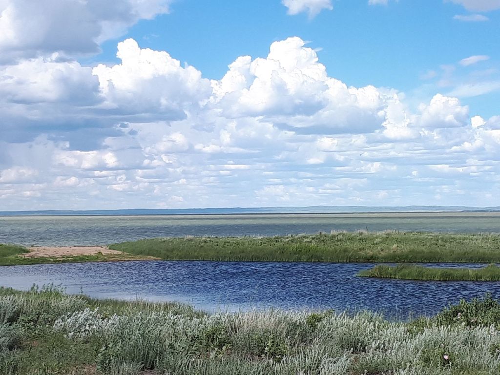 Town Of Mossbank | 311 Main St, Mossbank, SK S0H 3G0, Canada | Phone: (306) 354-2294
