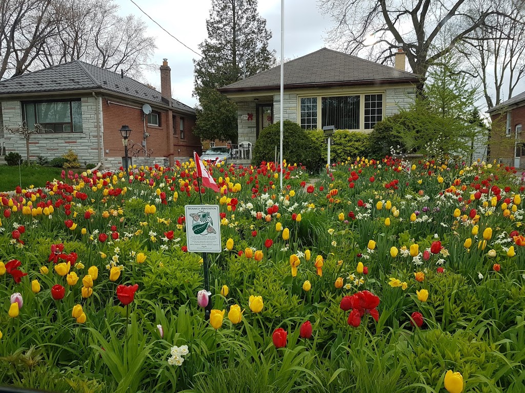 Etobicoke Valley Park | 615 Horner Ave, Etobicoke, ON M8W 2E1, Canada | Phone: (416) 393-4636