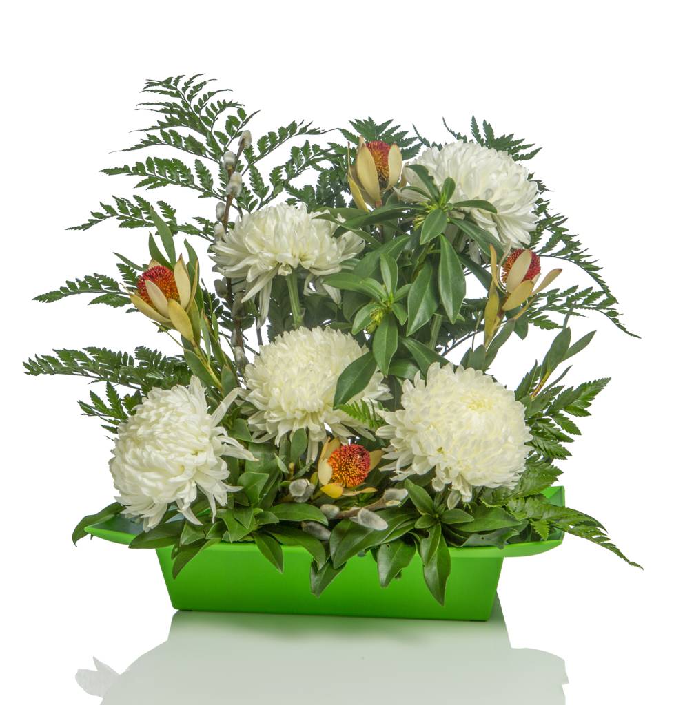 Blooms by Bloy Calgary Head Office | 145 Point Dr NW #1204, Calgary, AB T3B 4W1, Canada | Phone: (403) 819-1205