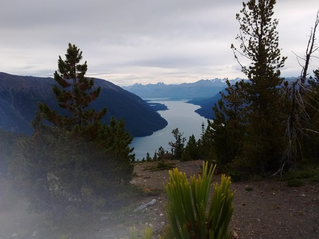 Bear Camp | Cariboo J, BC V0L 1W0, Canada | Phone: (778) 417-0091