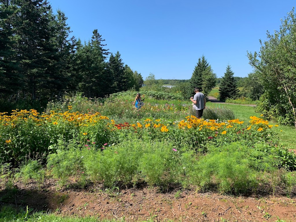 Morning Dew Gardens | 139 Jewell Rd, Cornwall, PE C0A 1H9, Canada | Phone: (902) 213-2624
