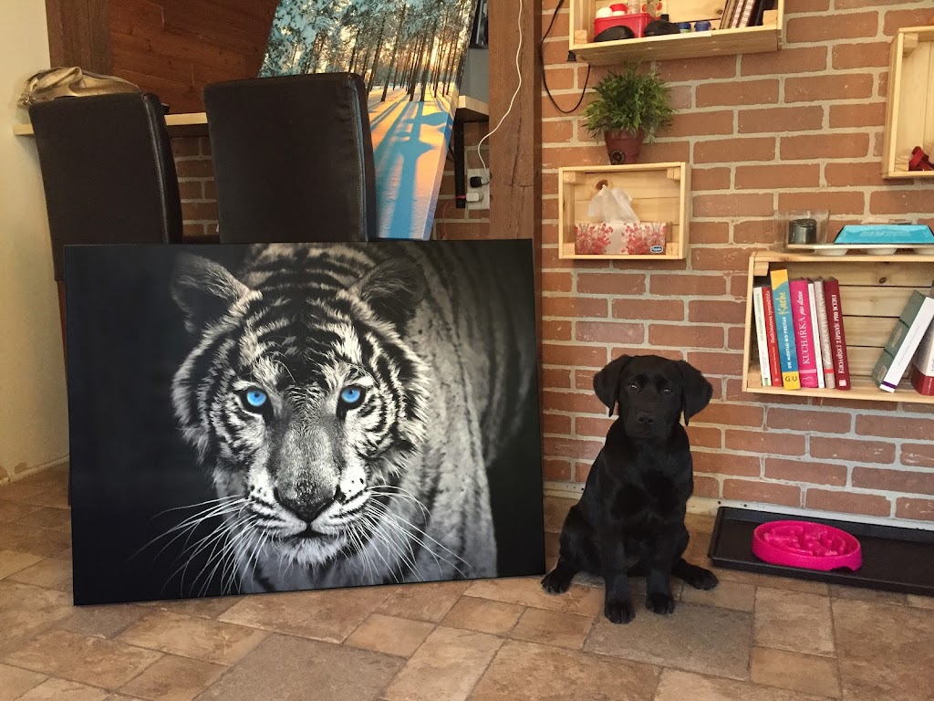 Canvas Prints Calgary | 3021 Dover Rd SE, Calgary, AB T2B 1V5, Canada | Phone: (403) 966-0484