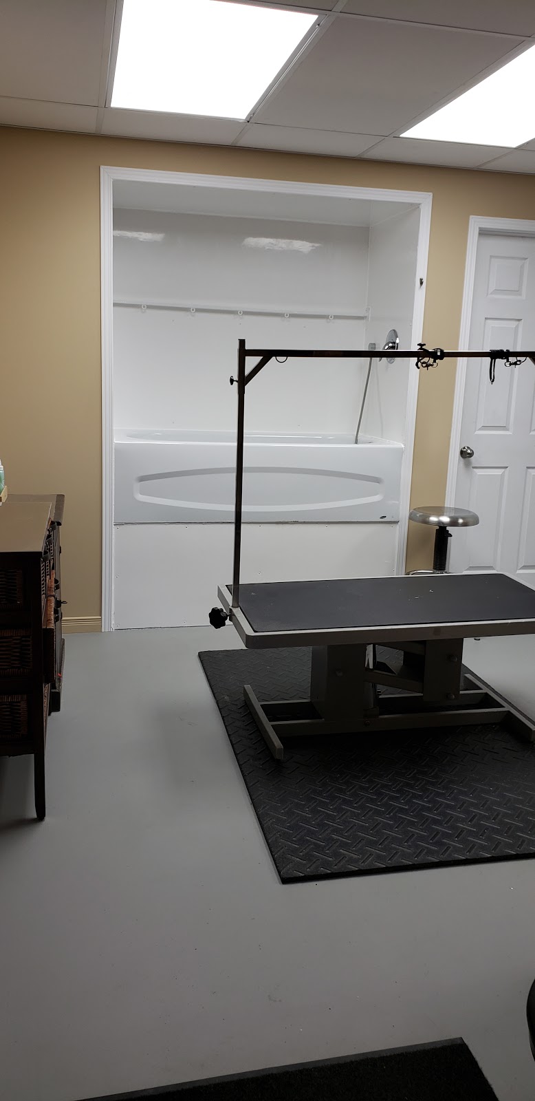 Toilettage Caro-Canin | 252 5e Rang, Saint-Ferdinand, QC G0N 1N0, Canada | Phone: (819) 362-5567