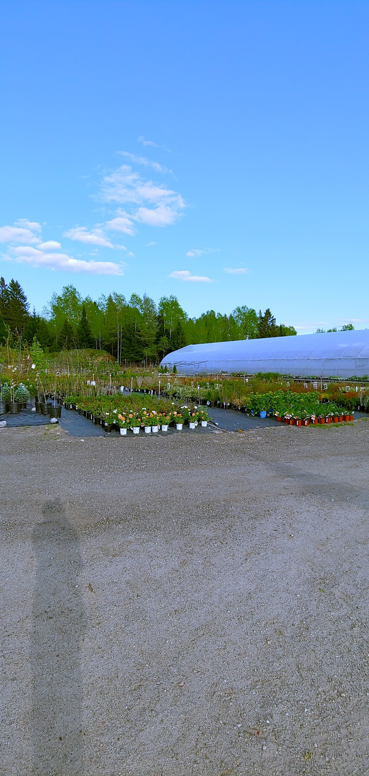 Les Serres de la Vallée (Les Herbes en Folie) | 11083 Route 117 N, Rivière-Rouge, QC J0T 1T0, Canada | Phone: (819) 275-2507