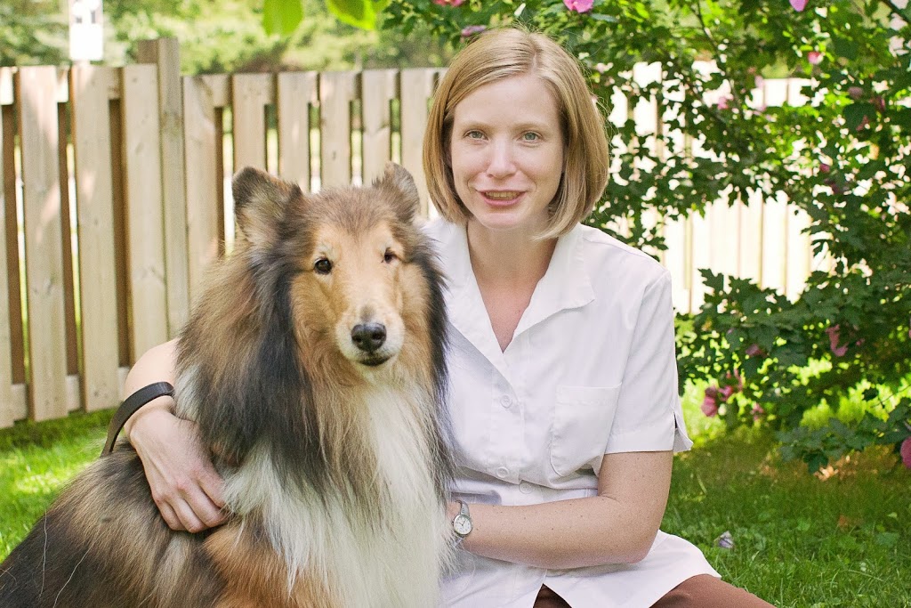 Carriage Crossing Animal Hospital | 105 Oak Park Dr Unit 3, Waterloo, ON N2K 0B3, Canada | Phone: (519) 725-1777