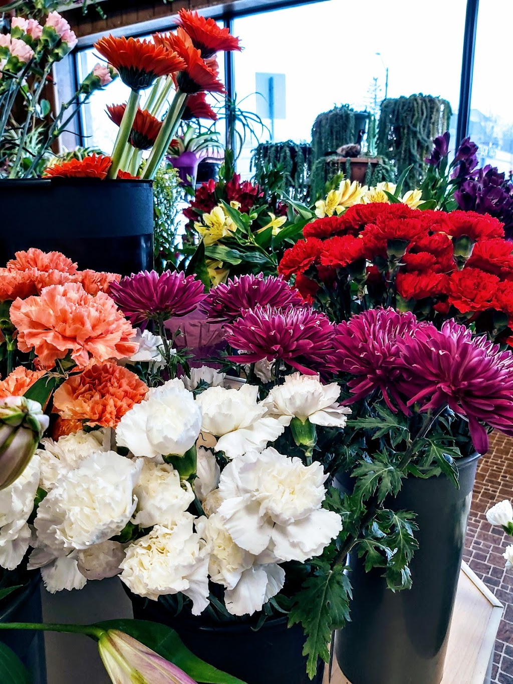 Cosmopolitan Florists | 994 Main St, Winnipeg, MB R2W 3P7, Canada | Phone: (204) 589-7359
