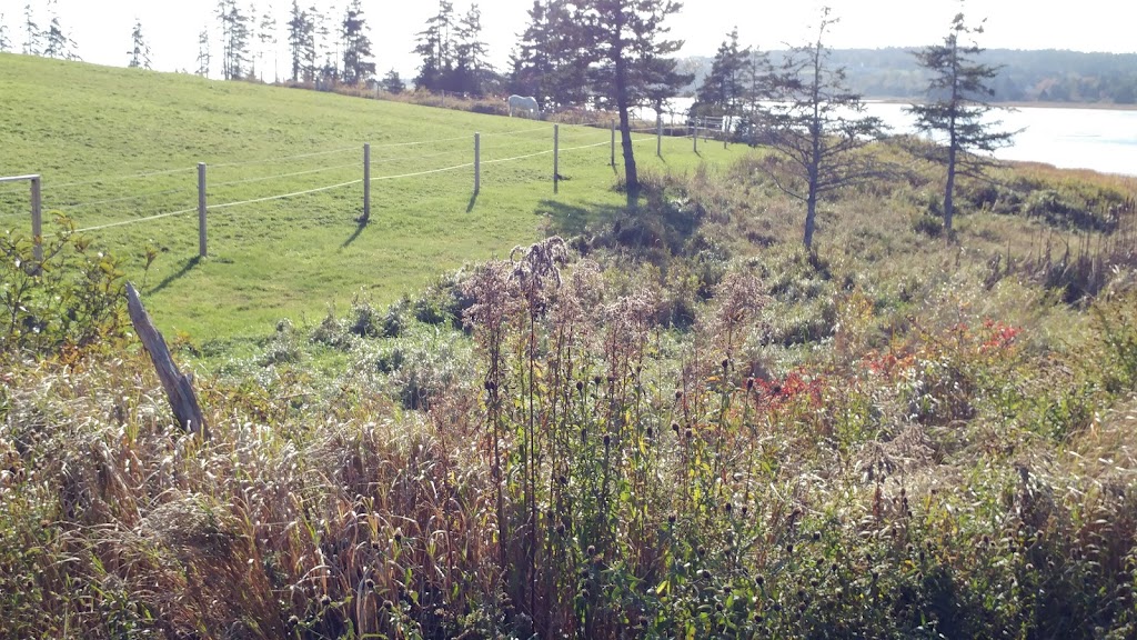 Sambea Farm | 79 Conrad Rd, Lawrencetown, NS B2Z 1S1, Canada | Phone: (902) 488-9607