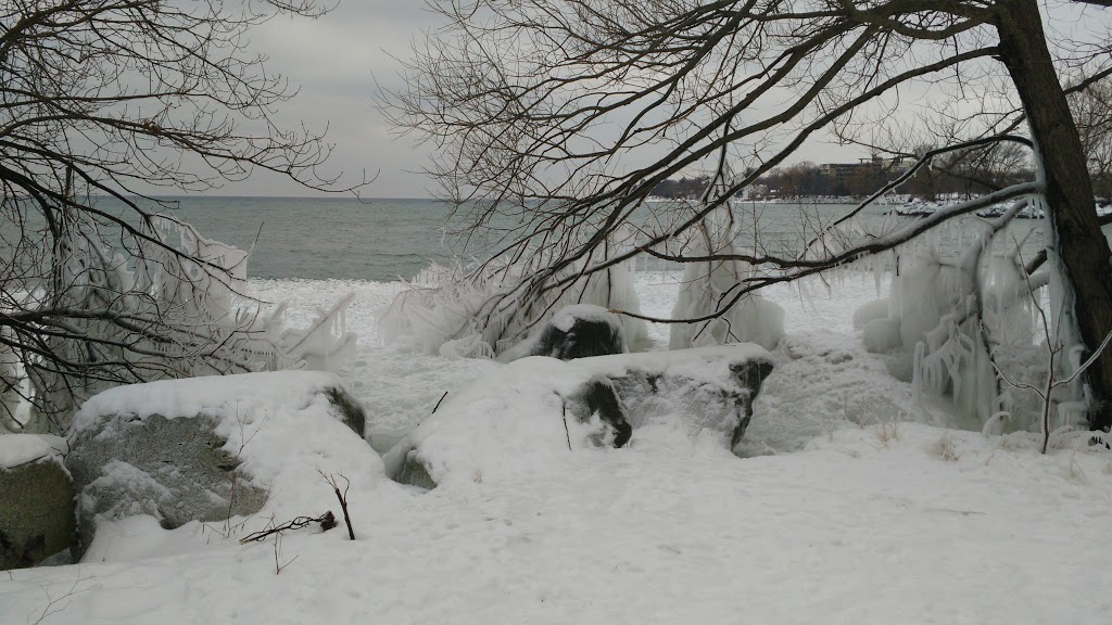 Humber Bay Park West Dog Park | 2225 Lake Shore Blvd W, Etobicoke, ON M8V 3X7, Canada