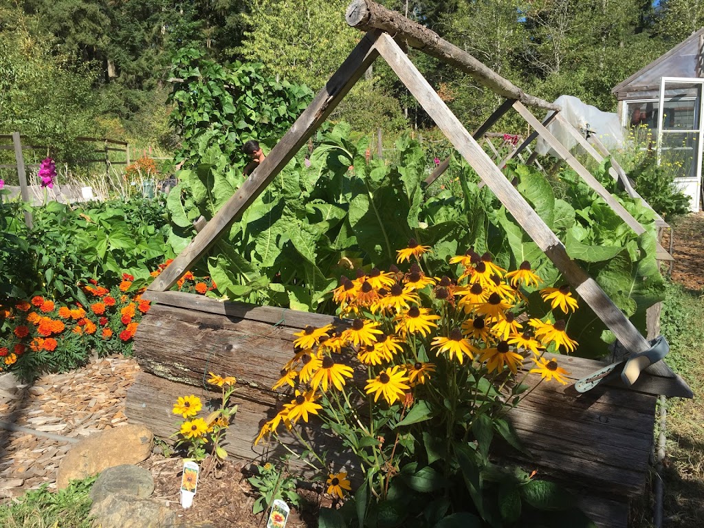 Beaufort Rainbow Farm | 9564 Somers Rd, Port Alberni, BC V9Y 8N9, Canada | Phone: (250) 735-0680